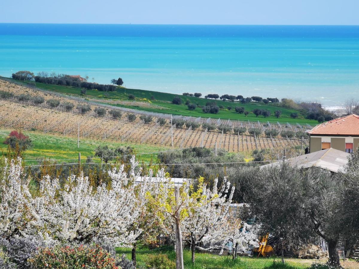 Villa Borsacchio Roseto Degli Abruzzi Exteriör bild