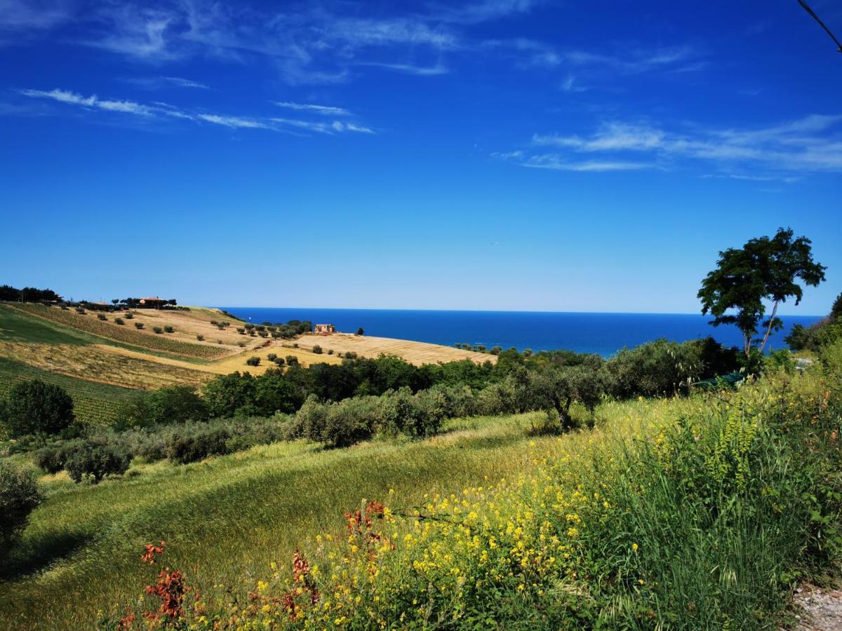 Villa Borsacchio Roseto Degli Abruzzi Exteriör bild