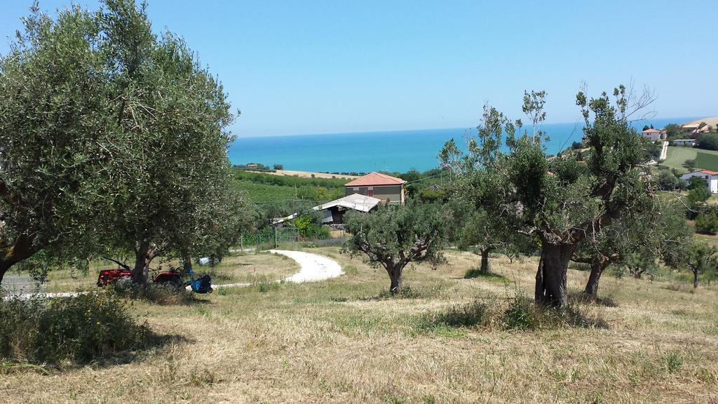 Villa Borsacchio Roseto Degli Abruzzi Rum bild