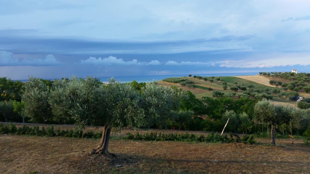 Villa Borsacchio Roseto Degli Abruzzi Exteriör bild