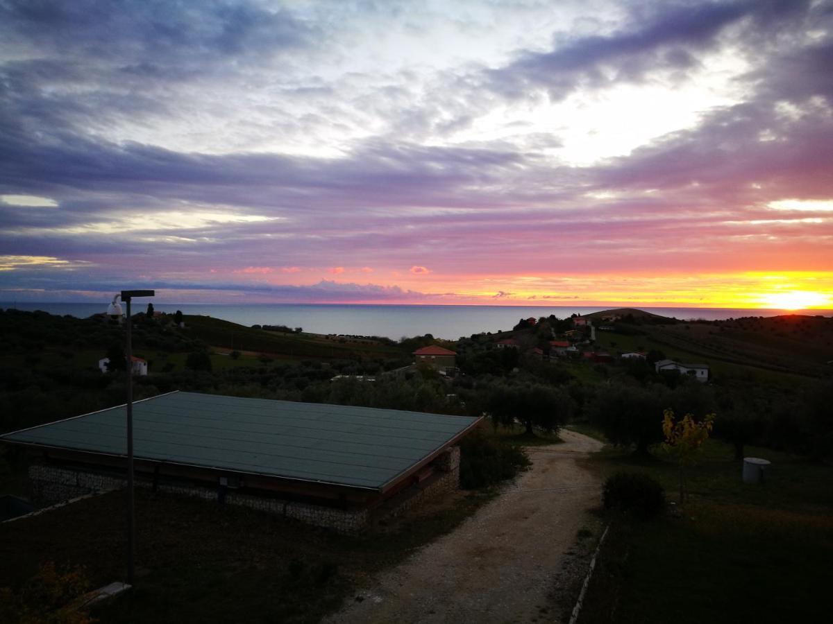 Villa Borsacchio Roseto Degli Abruzzi Exteriör bild